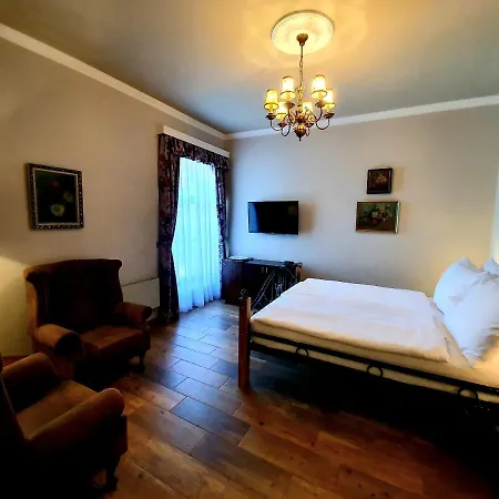 派思拉可乐思妮酒店 酒店 Nová Bystřice
