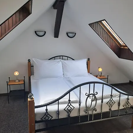 派思拉可乐思妮酒店 3* Nová Bystřice